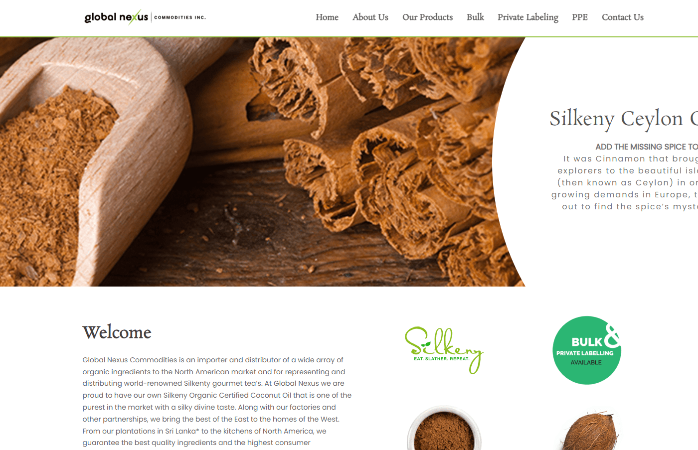 Gobal Nexus Web Development